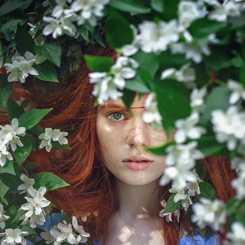 After White Flower After White Flower